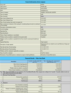 Consolidated XBRL Report