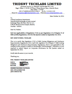 Corporate Governance Report 3