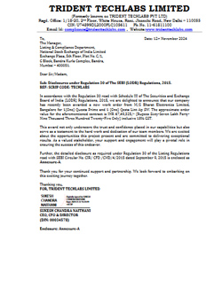 Trident Work Order 12_11_2024 